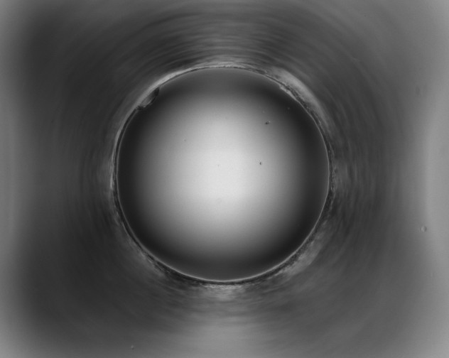 X0000089420860200706151249