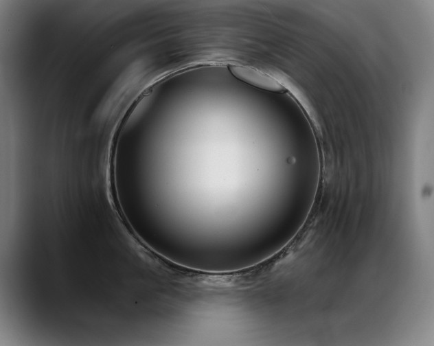 X0000089420861200706151249