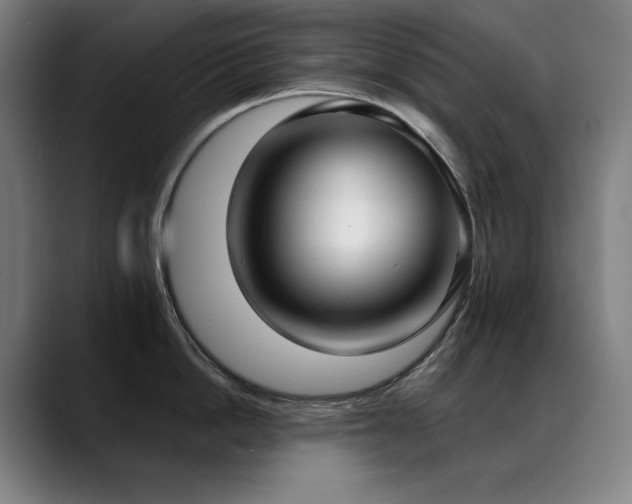 X0000089420862200706151249