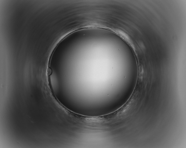 X0000089420863200706151249