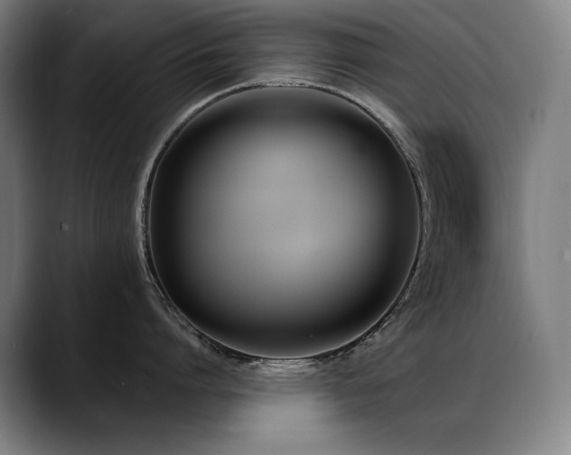 X0000089420864200706151249