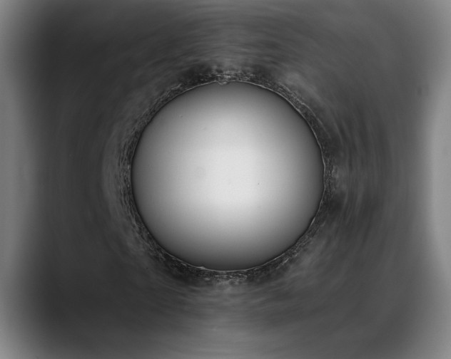X0000089420865200706151249