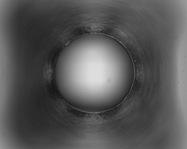 X0000089420866200706151249