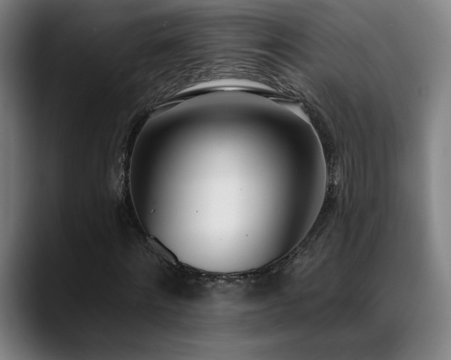 X0000089420868200706151249