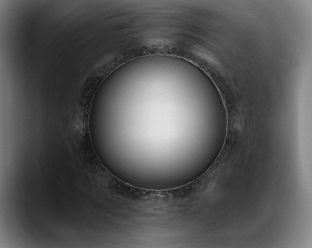 X0000089420869200706151249