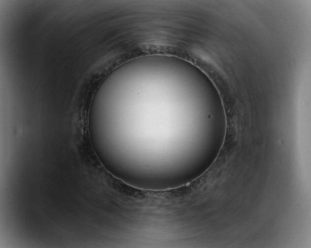 X0000089420870200706151249