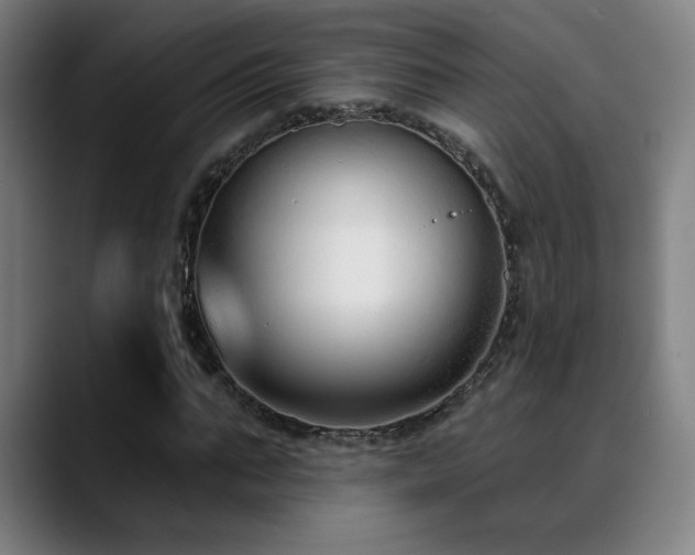 X0000089420871200706151249