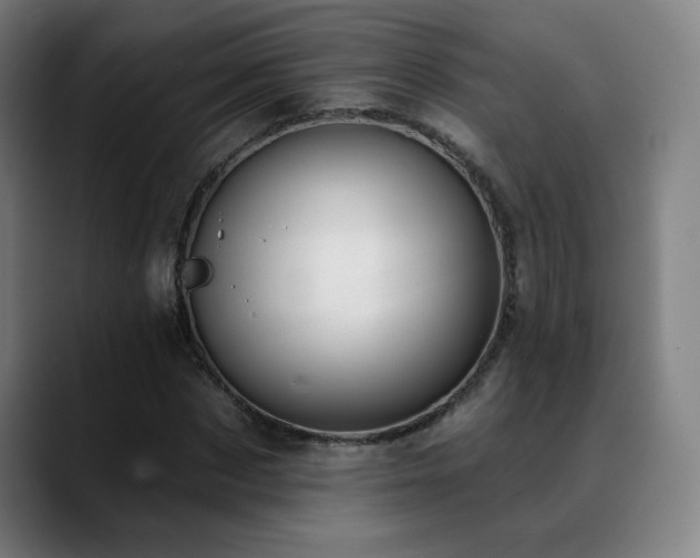 X0000089420873200706151249