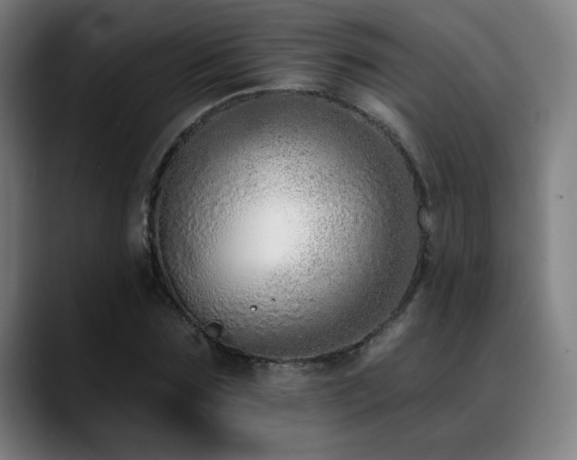 X0000089420875200706151249