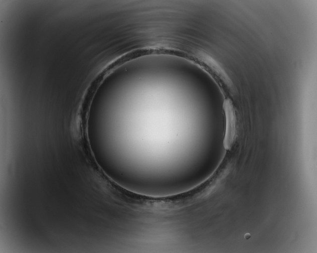 X0000089420876200706151249