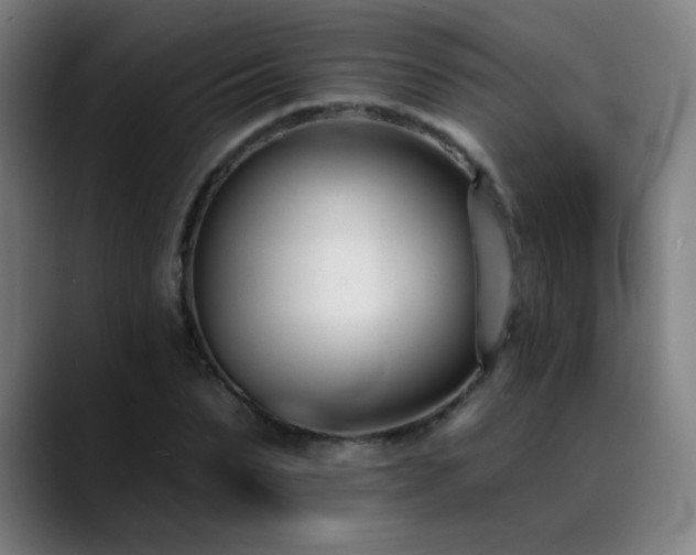X0000089420879200706151249