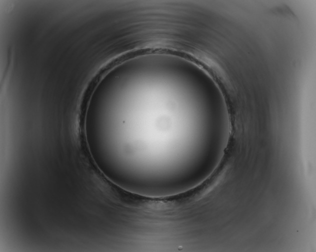 X0000089420880200706151249