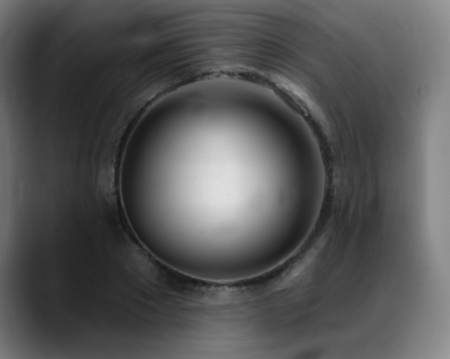 X0000089420881200706151249