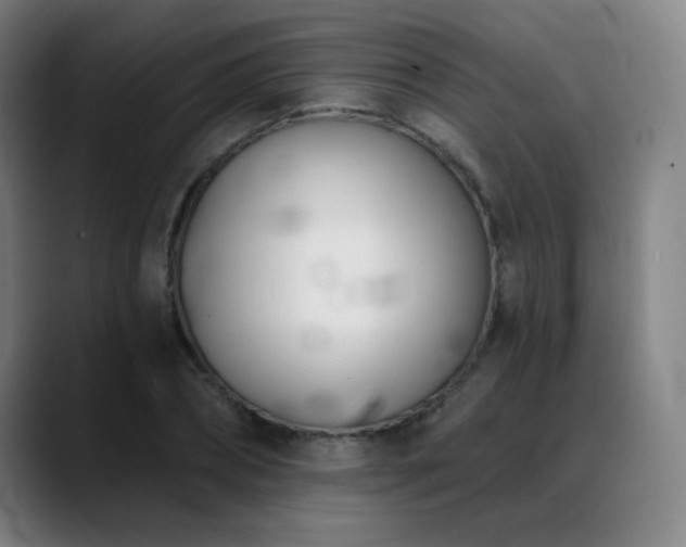 X0000089420882200706151249