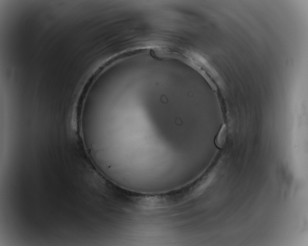 X0000089420883200706151249