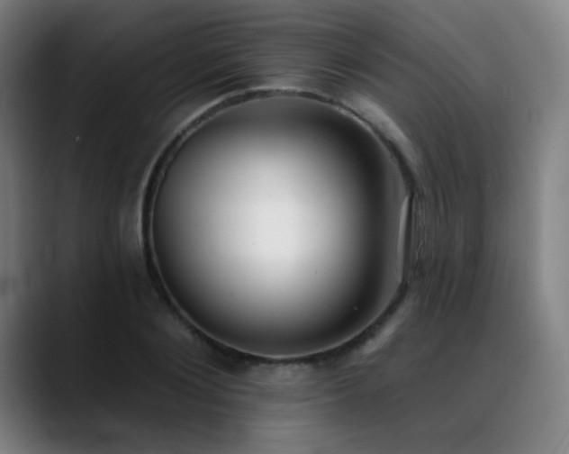 X0000089420884200706151249