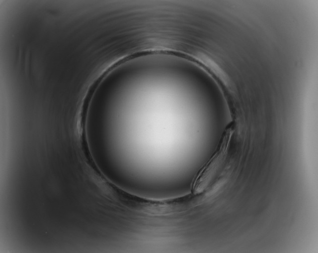 X0000089420885200706151248