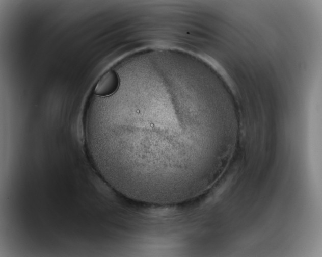 X0000089420887200706151248