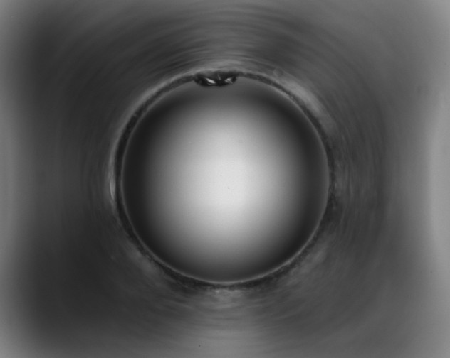 X0000089420888200706151248