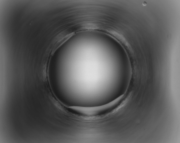 X0000089420889200706151248