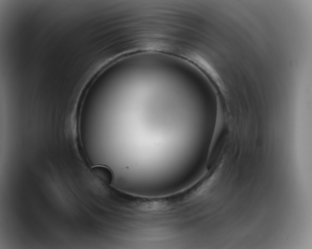 X0000089420891200706151248