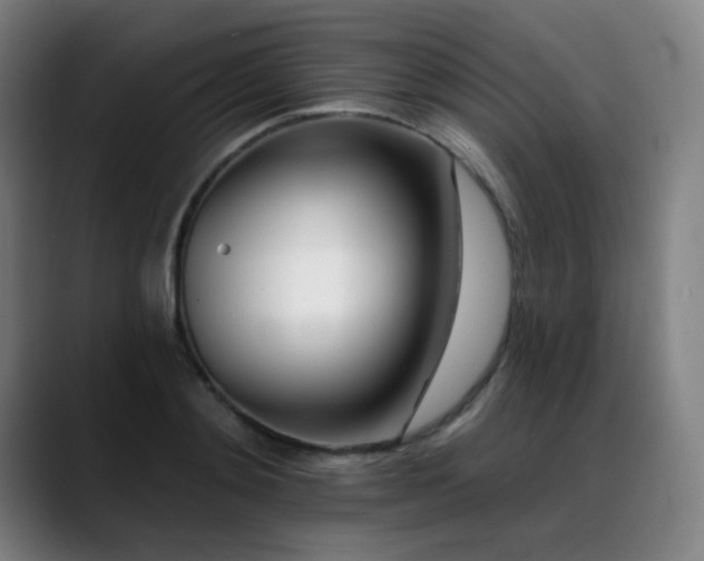 X0000089420892200706151248