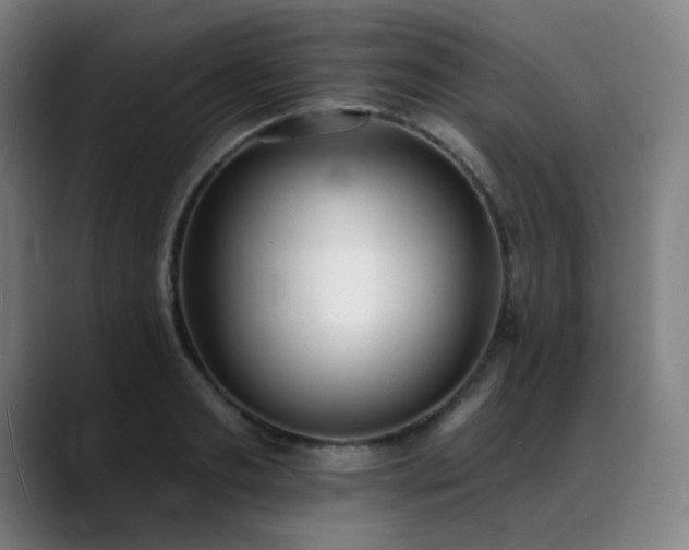 X0000089420893200706151248