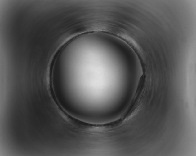 X0000089420894200706151248
