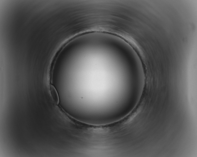 X0000089420896200706151248