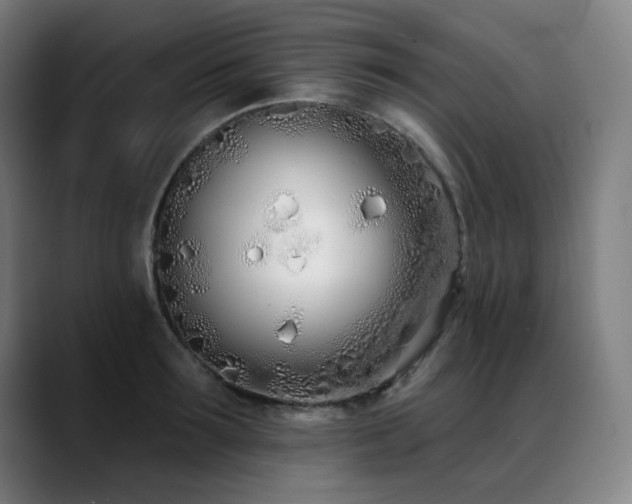 X0000089420899200706151248