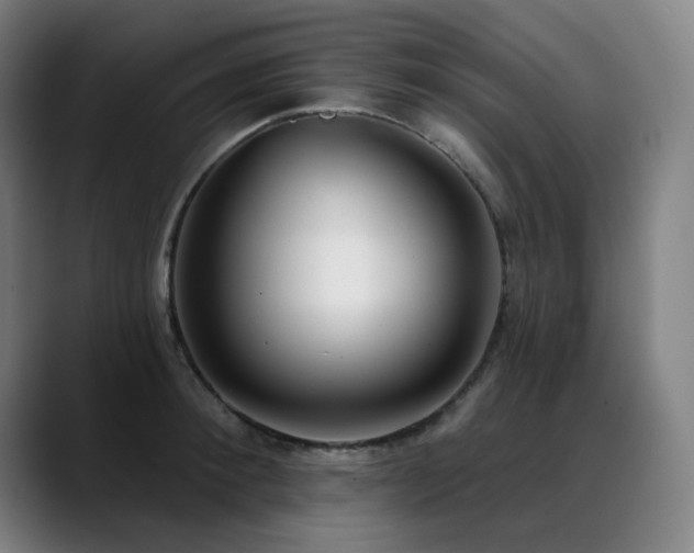 X0000089420900200706151248