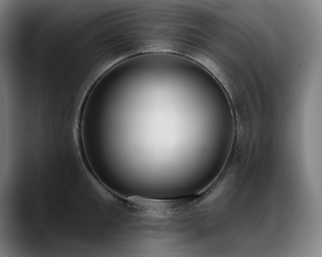 X0000089420901200706151248