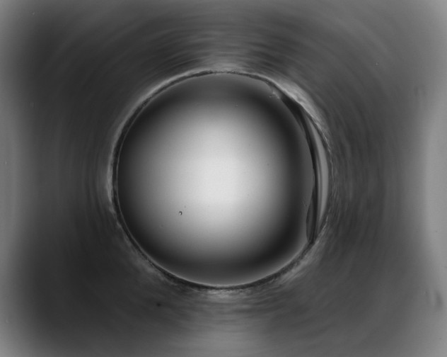 X0000089420904200706151248