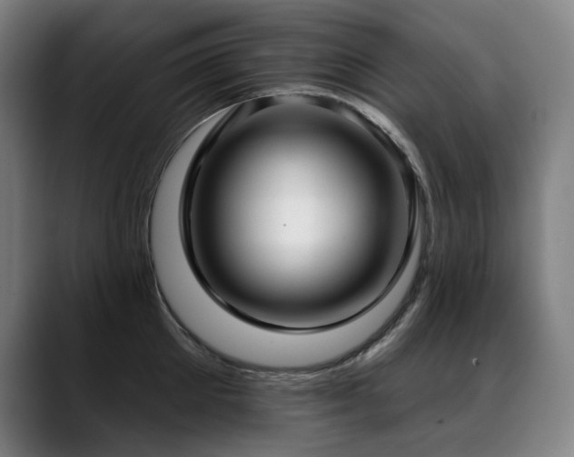 X0000089420905200706151248