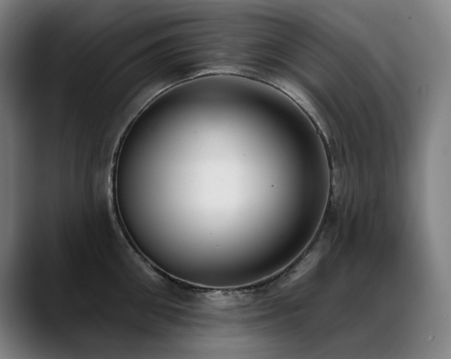 X0000089420906200706151248