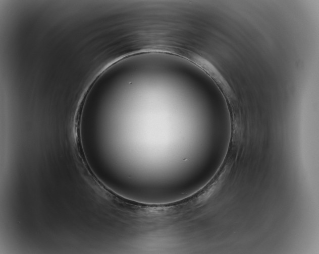 X0000089420908200706151248