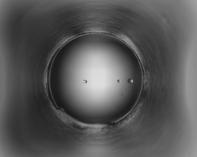 X0000089420909200706151248