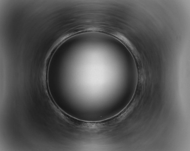 X0000089420910200706151248