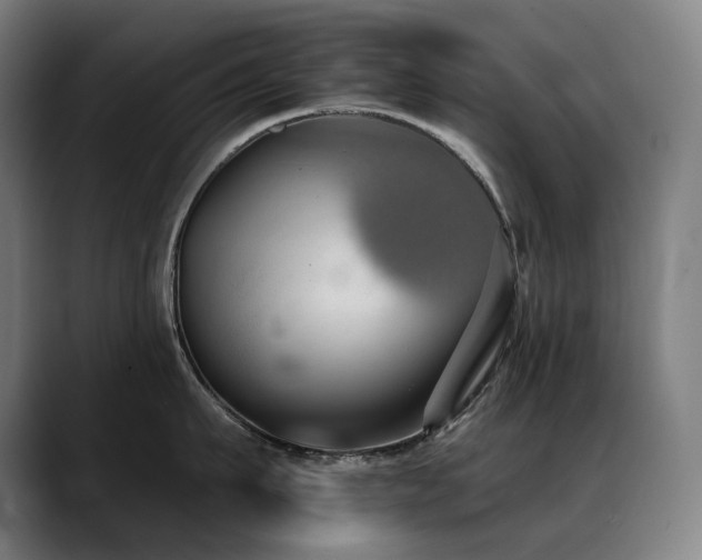 X0000089420911200706151248