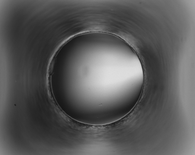 X0000089420912200706151248