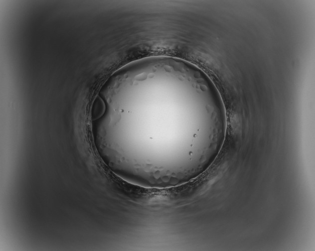 X0000089420913200706151248