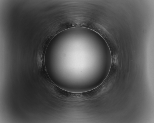 X0000089420915200706151248