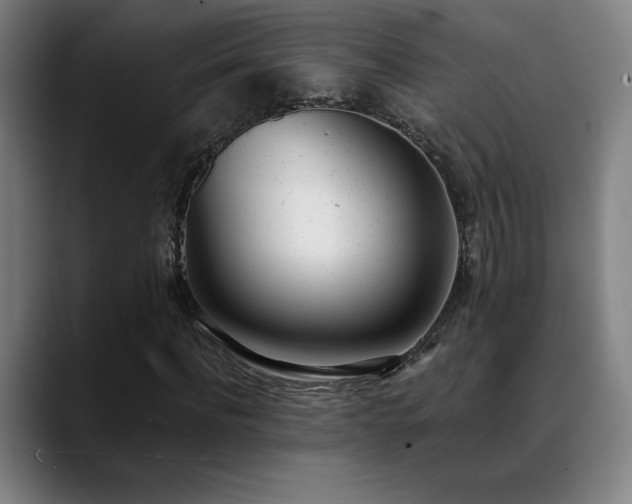 X0000089420916200706151248