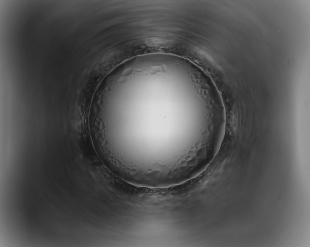 X0000089420917200706151248