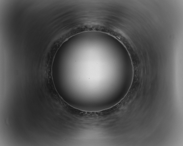 X0000089420919200706151248