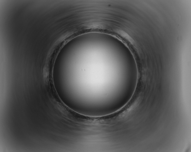 X0000089420922200706151248