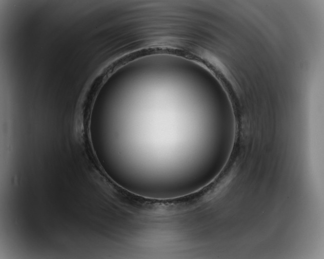 X0000089420923200706151248