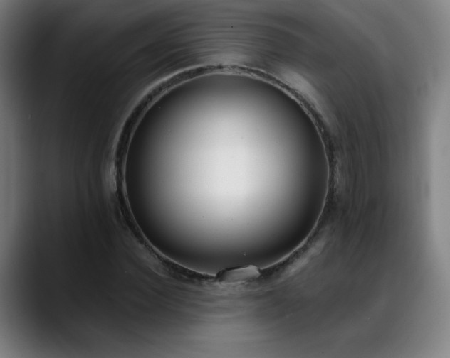 X0000089420924200706151248