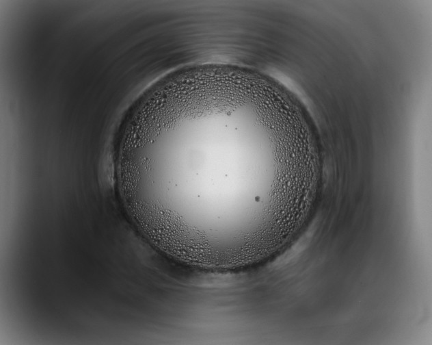 X0000089420925200706151248