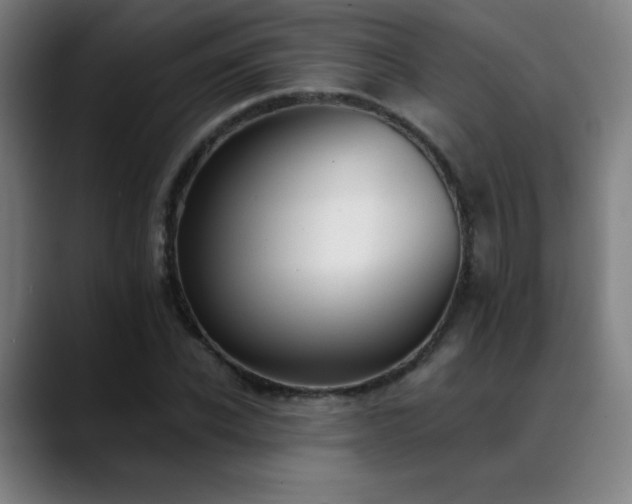 X0000089420926200706151248